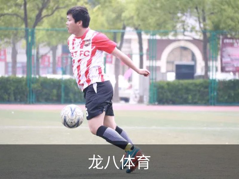 了解龙八体育